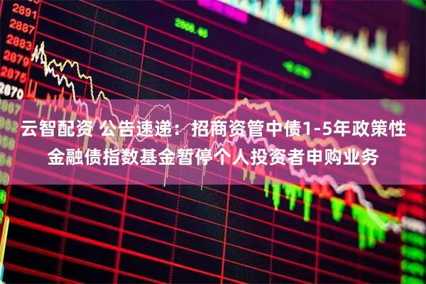 云智配资 公告速递：招商资管中债1-5年政策性金融债指数基金暂停个人投资者申购业务