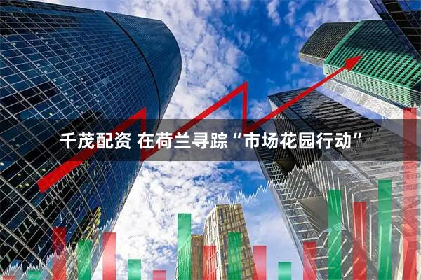 千茂配资 在荷兰寻踪“市场花园行动”