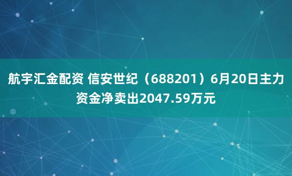 航宇汇金配资 信安世纪(688201)6月20日主力资金净卖出2047.59万元