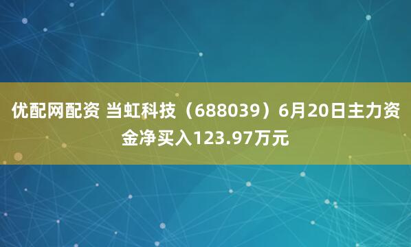 优配网配资 当虹科技（688039）6月20日主力资金净买入123.97万元