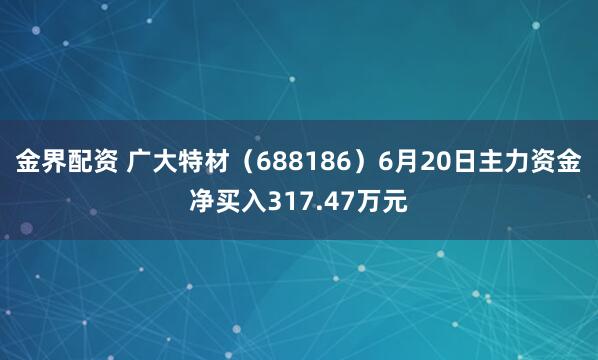 金界配资 广大特材（688186）6月20日主力资金净买入317.47万元