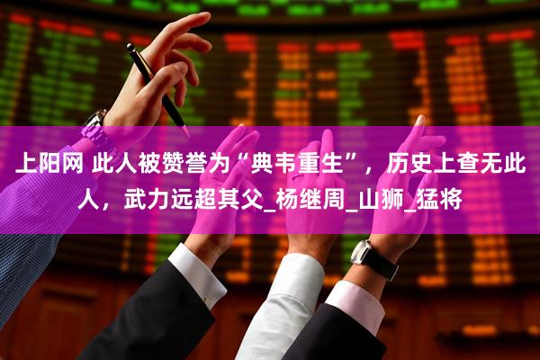 上阳网 此人被赞誉为“典韦重生”,历史上查无此人,武力远超其父_杨继周_山狮_猛将