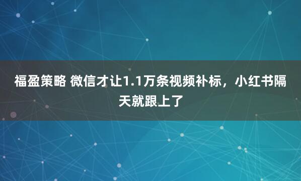 福盈策略 微信才让1.1万条视频补标，小红书隔天就跟上了