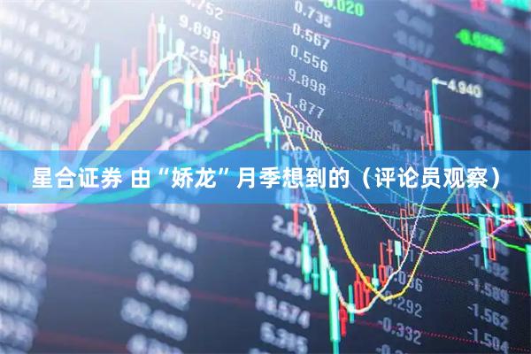 星合证券 由“娇龙”月季想到的（评论员观察）